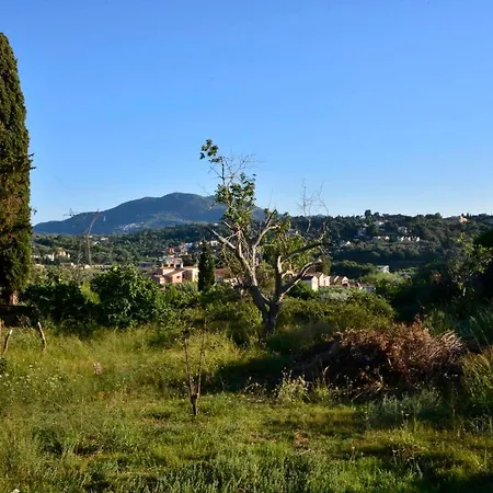 Lantställe Jerry Afro *